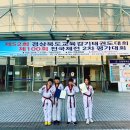 바르다 태권도 이미지