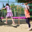 업성초 이미지