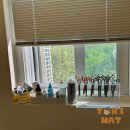 다듬, 강아지미용실 이미지