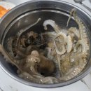 장군수산 | 안성 개내교 쭈꾸미 샤브샤브 맛집|장군수산 내돈내산 후기