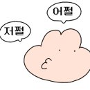 에이유헤어 네이버블로그