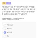 라비타돌체 이미지