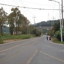 김종석농장 Daum카페