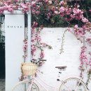 카페 행복시 이미지