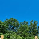 육미옥(조원점) 이미지