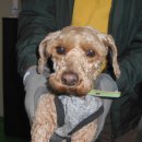 동대구초등학교 이미지