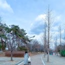 화랑유원지 옆 이미지