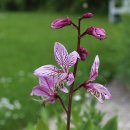 흙으로 예술 만들기 이미지