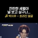 트롯챔피언 쇼츠영상~♡ 이미지