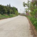 안산테콤길 이미지