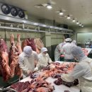 외길한우 이미지