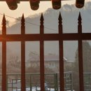 강영천 효자문 이미지