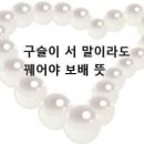 보배여행사