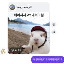 염두리 | 사랑은 깊고 하루는 길어 넘쳐
