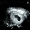 의료법인내일의료재단 현대여성아동병원 이미지