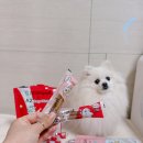 이지덴탈 이미지