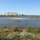 금산교역