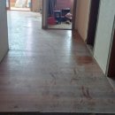 아림월드 이미지