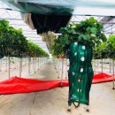 혜일농장 이미지