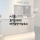 호텔 야자 시흥정왕점 | [내돈내산] 시흥 애견동반숙소 호텔야자 ㅣ 가성비 애견동반 숙소