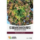 씨앗