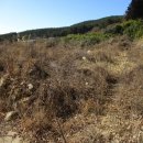 용소7길 이미지