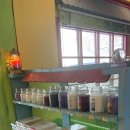 허브나무 이미지