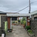 종달블랑