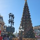 택시승강장 옆 | 홍콩 디즈니랜드 우버 택시 비용 왕복 후기 (폐장 후 택시 승강장 위치)