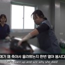 이영란농장 이미지