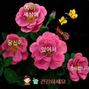 남존 여비란 건배사 이미지