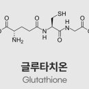 브이케어 이미지