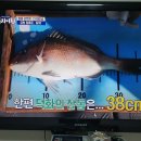 삼성TV 중고 판매합나다... 이미지