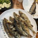 소주향기는바람에날리고 | 천안 봉명동 해산물 생선회 맛집_소주향기는 바람에 날리고