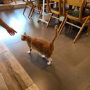 옹헤야노래연습장 이미지