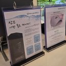 다이어트팩토리 | 운동 없이 가능한 배곧다이어트 전문점 '이뮨 팩토리 델루나 '후기