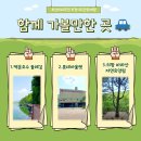 문화해설 여행쉼터1 이미지