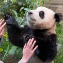 행복사진관 이미지