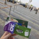 글로벌빌리지 | 두바이 글로벌빌리지 여행 솔직 후기 #한국관