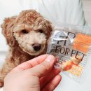 멍굴멍굴 이미지