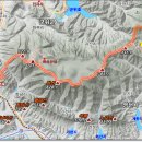 새(화산)2 이미지