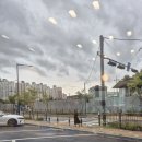 다솜애견 이미지