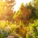 시절인연// 인지상정 이미지