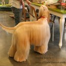 몽스토리 이미지