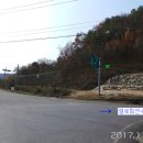 보건진료소 길 앞 Daum카페