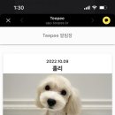 에이미 그루밍 이미지