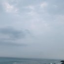 엠마트정육 이미지