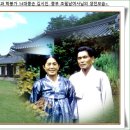 옥금리 | ▣기왓장 아래 찌든 몽상▣속 빈 종가의 답답한 사정을 누가 알리 ◐경북의 종갓집◑
