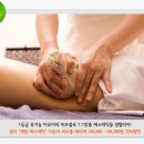 허브아로마테라피