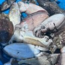 롯데슈퍼 안면도점 이미지